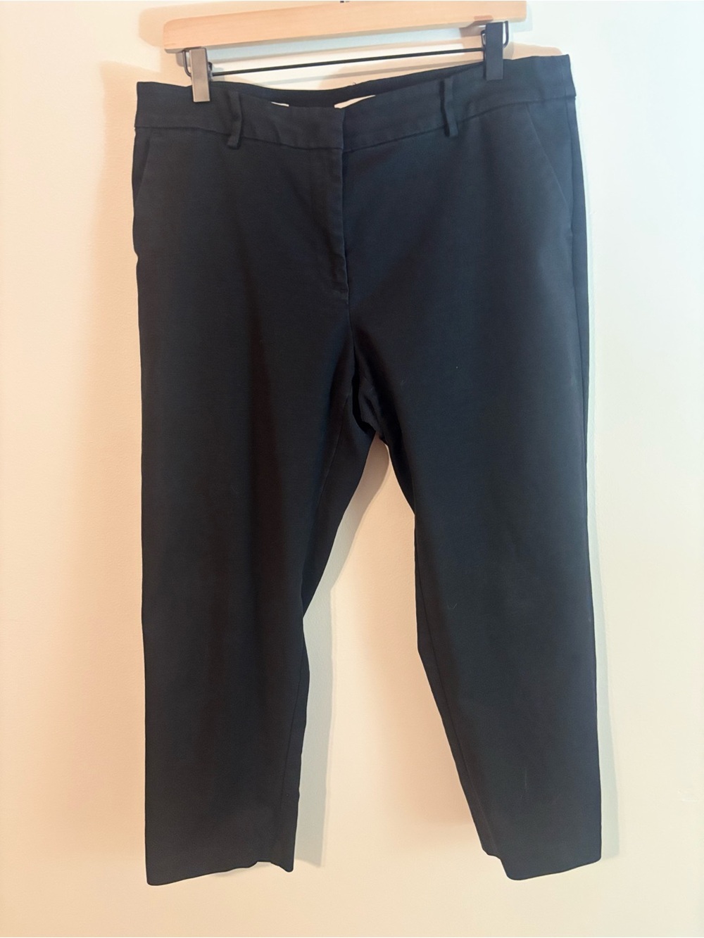 LOFT Black Ankle Crop Women's Jeans